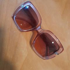 İLost kullanarak Hortus Botanicus Amsterdam tarafından bildirildiği gibi Zonnebril Roze