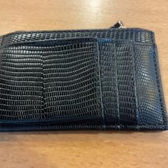 Pasjehouder pasjes, segundo informou Gemeente Amsterdam - Bureau Gevonden Voorwerpen usando iLost