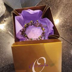 Lingerie ketting, som rapportert av Van der Valk Hotel Wolvega Heerenveen ved bruk av iLost