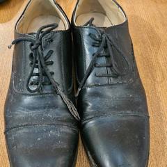 Zapato, segundo informou Groepsaccomodatie Kasteel de Berckt usando iLost