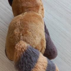 おもちゃ がiLostで Arriva West-Brabant によって報告されました