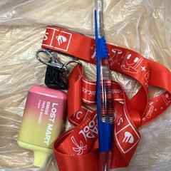 Escova de dentes, Vape & Chaveiro, como reportado por Sheraton Brussels Airport Hotel utilizando o iLost