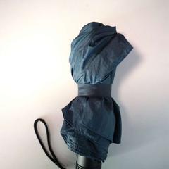 Paraply, rapporterat av Twisto med iLost