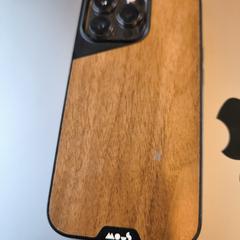 iPhone, som rapportert til iLost