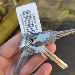 Sleutelbos, como reportado ao iLost