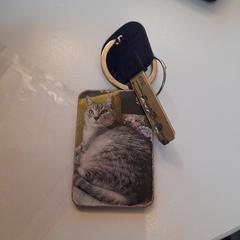 sleutel, met hanger poes, ha sido reportado a iLost