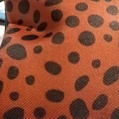 Saco, como reportado por De Efteling utilizando o iLost