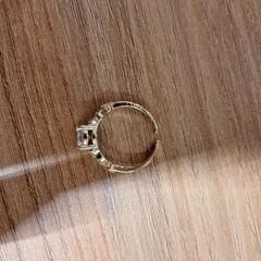 Prsteň, ako bolo nahlásené Vrije Universiteit Brussel (VUB) pomocou iLost