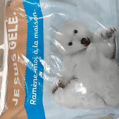 Táska -Plastieken zak Aldi, amint azt Centraal magazijn az iLost segítségével jelentette.