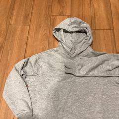Hoodie Grijs - 200523 POST2, zoals gemeld door Ziggo Dome met iLost