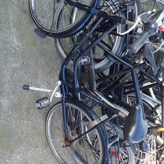 Bicicleta de mujer gazelle Blauw, ha sido reportado por Stadswerk072 con iLost