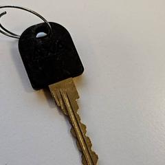 Clave, segundo informou Vrije Universiteit Amsterdam usando iLost