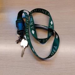 Klíče, jak nahlášeno Regio Limburg - Leuven pomocí iLost