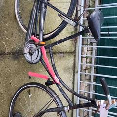 여성용 자전거, iLost를 사용하여 Stadswerk072에 보고됨