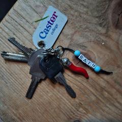 Sleutelbos, som rapportert til iLost