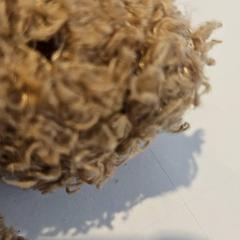 Peluche, come riportato da De Tovertuin utilizzando iLost