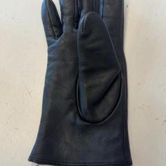 Rękawica, zgłoszono przez GVB przy użyciu iLost