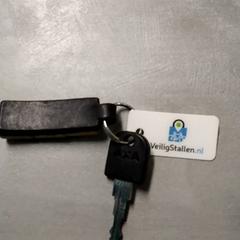 Llave Axa sleutel, ha sido reportado por Arriva Friesland / Groningen con iLost