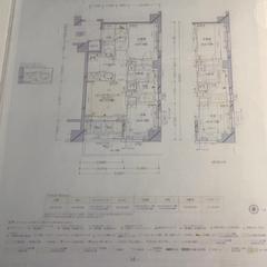 クリアファイルと紙, amint azt IKEA横浜 az iLost segítségével jelentette.