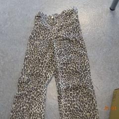 Jeans leopard, som rapportert av Gemeente Leopoldsburg ved bruk av iLost
