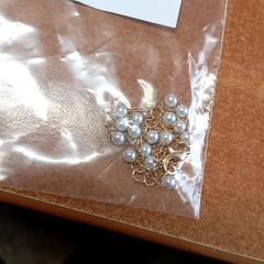 Joyas, ha sido reportado por Centraal magazijn con iLost