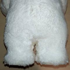 Diverse - Pop, zoals gemeld door Regio Antwerpen - Brussel met iLost