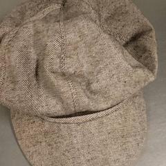 의류 Pet, iLost를 사용하여 Regio Limburg - Leuven에 보고됨