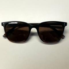 Zonnebril Zwart, zoals gemeld door Burgers' Zoo met iLost