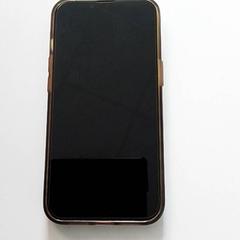 Telefono Nore Apple, come riportato da ilévia utilizzando iLost