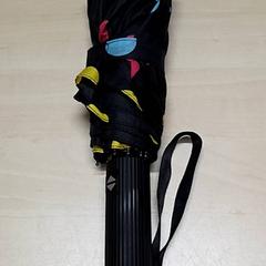 Paraplu, zoals gemeld door Arriva Oost-Brabant met iLost