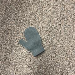 Handschoen kind, iLost를 사용하여 Burgers' Zoo에 보고됨