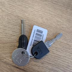 Bicycle keys, ha sido reportado a iLost