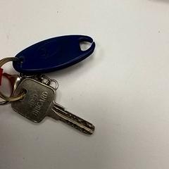 Nøkkel, som rapportert av ilévia ved bruk av iLost