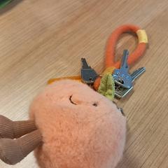 Keychain, as reported by RRReis Veluwe Zuid - Ede using iLost