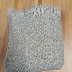 숄, iLost를 사용하여 Bolognalaan 101에 보고됨