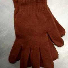 Handschoenen Bruin, zoals gemeld door Arriva Friesland / Groningen met iLost