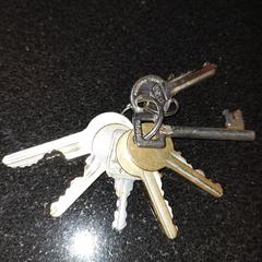 Sleutelbos, jak bylo nahlášeno na iLost