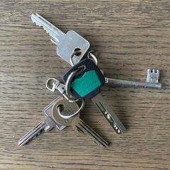 Sleutelbos, som rapporterats till iLost