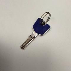 Sleutel, zoals gemeld door ilévia met iLost