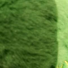 Mazlící hračka, jak nahlášeno De Efteling pomocí iLost