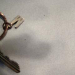 Llave, ha sido reportado por Walibi Holland con iLost