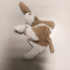 Toy & Knuffel, as reported by Regio West-Vlaanderen using iLost