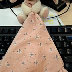 Manteta, segons ha informat IKEA Paris Nord Roissy mitjançant iLost