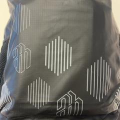 Bag, as reported by GVB using iLost