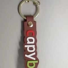 Sleutelhanger Capybara, ako bolo nahlásené Burgers' Zoo pomocou iLost