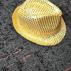 Hoedje Goudkleurig がiLostで Connexxion Haarlem IJmond によって報告されました