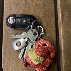 Sleutels incl. Autosleutel, som rapporterats till iLost