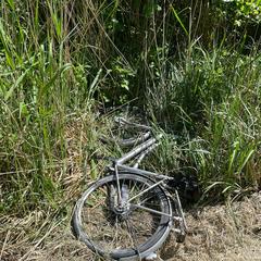 Grijze fiets, som rapporterats till iLost