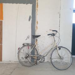 Damesfiets  Batavus, ako bolo nahlásené Stadswerk072 pomocou iLost