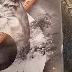 Potloden / graphite pencils، كما تم الإبلاغ عنه بواسطة Rotterdam The Hague Airport عبر iLost